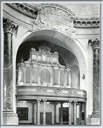 Large-Organ